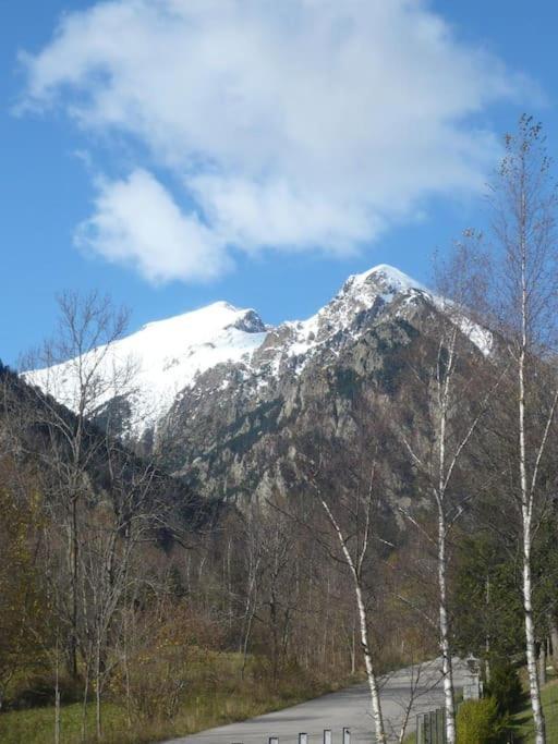 Apartament Al Cor De La Vall De Camprodon 特尔河畔比拉利翁加 外观 照片